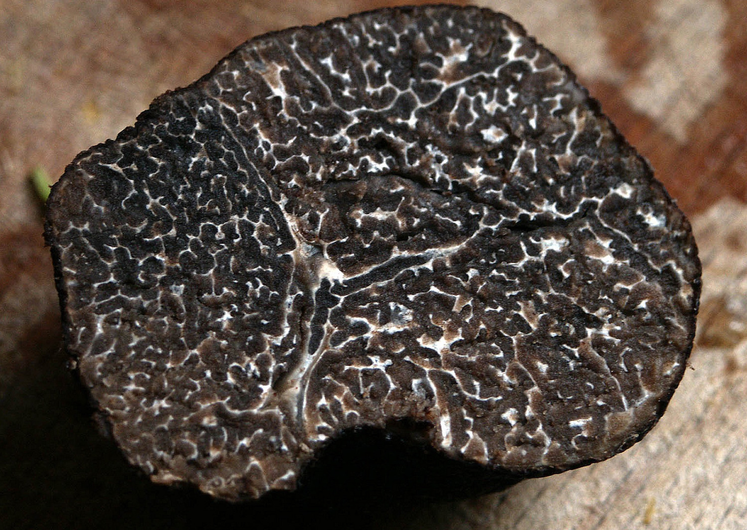 Black Perigord Truffle - 1